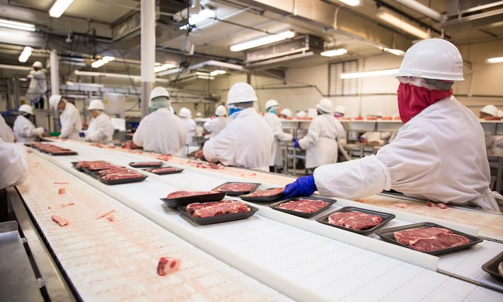 Domestic Market Operations